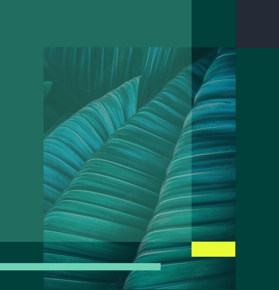 franchise lawyer Gold Coast branding - close-up teal leaves with geometric coloured blocks and lines overlayed.