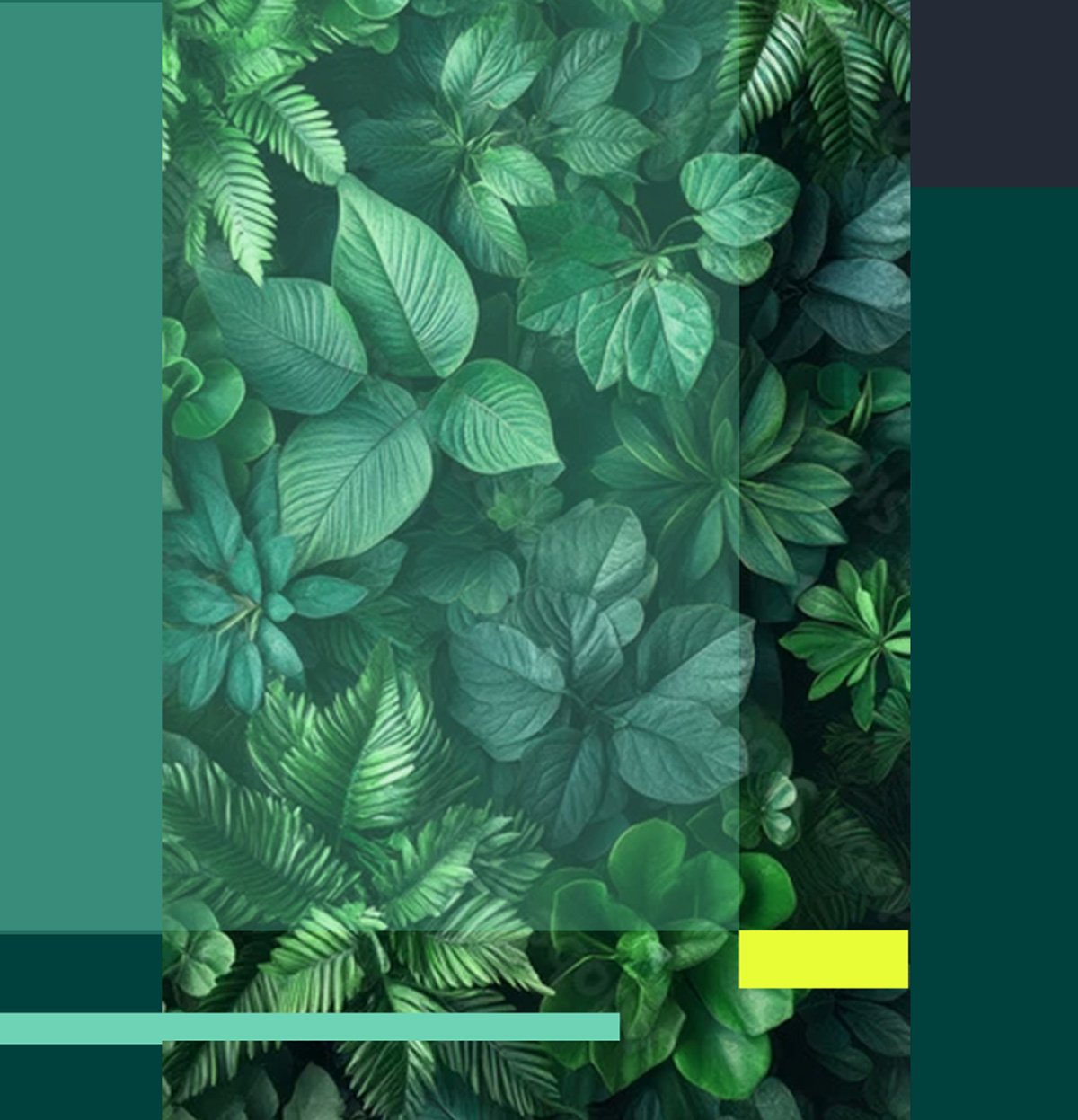 Business lawyer Queensland branding of Lush green tropical leaves and plants with geometric coloured blocks and lines overlayed.