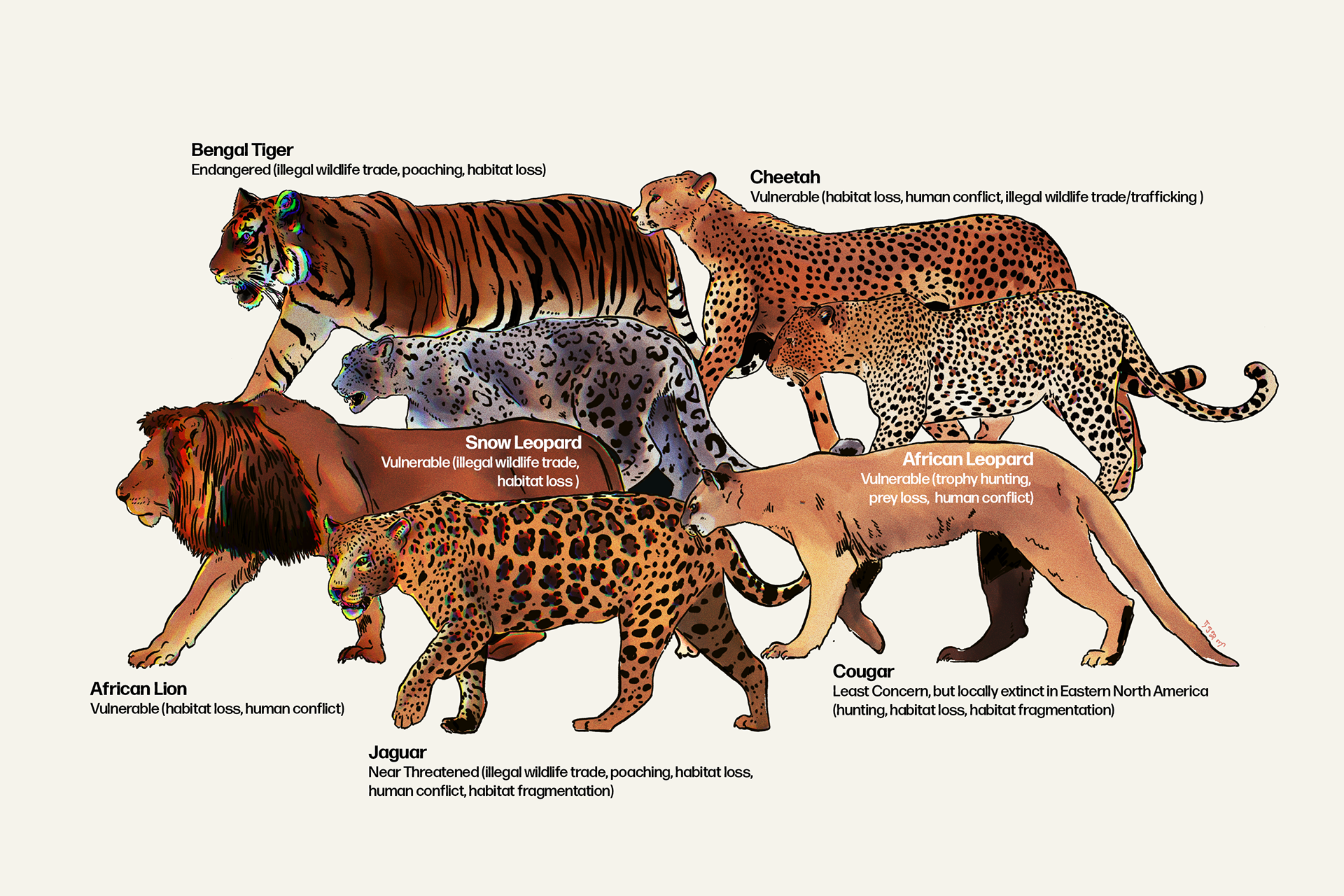 557babb5-384f-4bb1-b544-ce676c600329_rw_1920.png