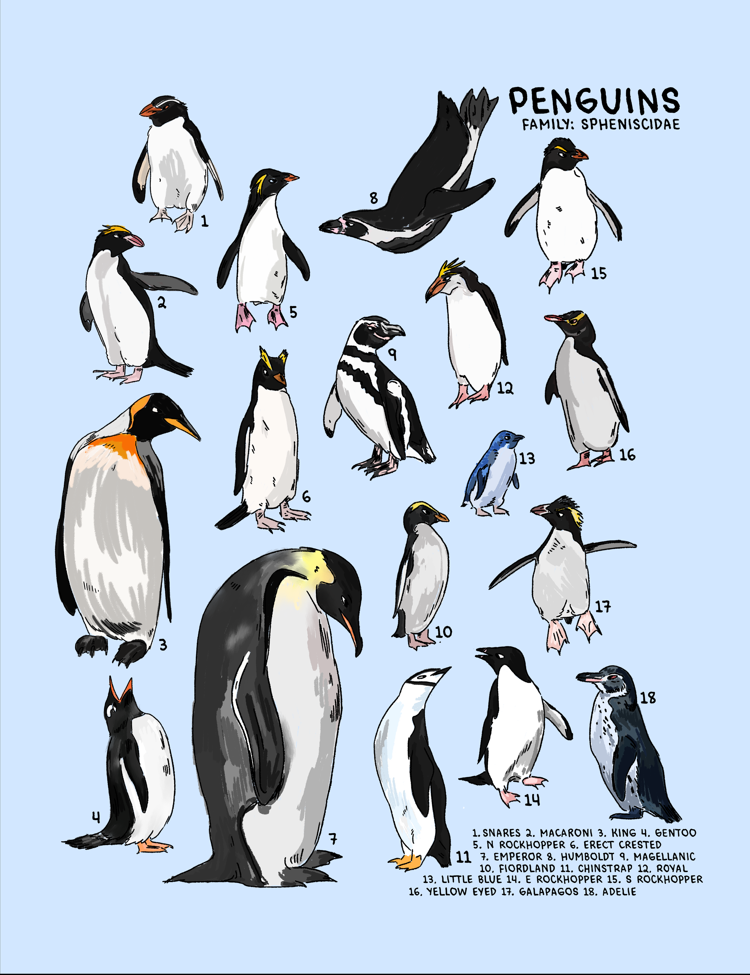 Penguins.png