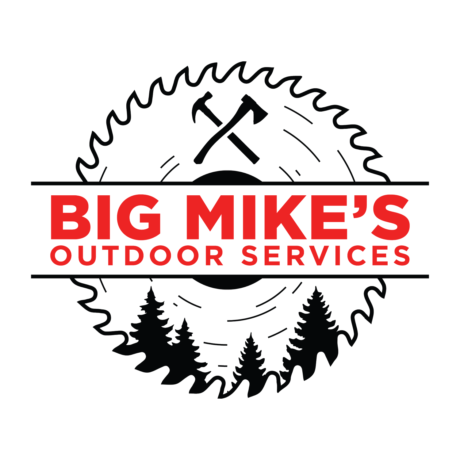 BIG MIKE'S OUTDOOR SERVICES