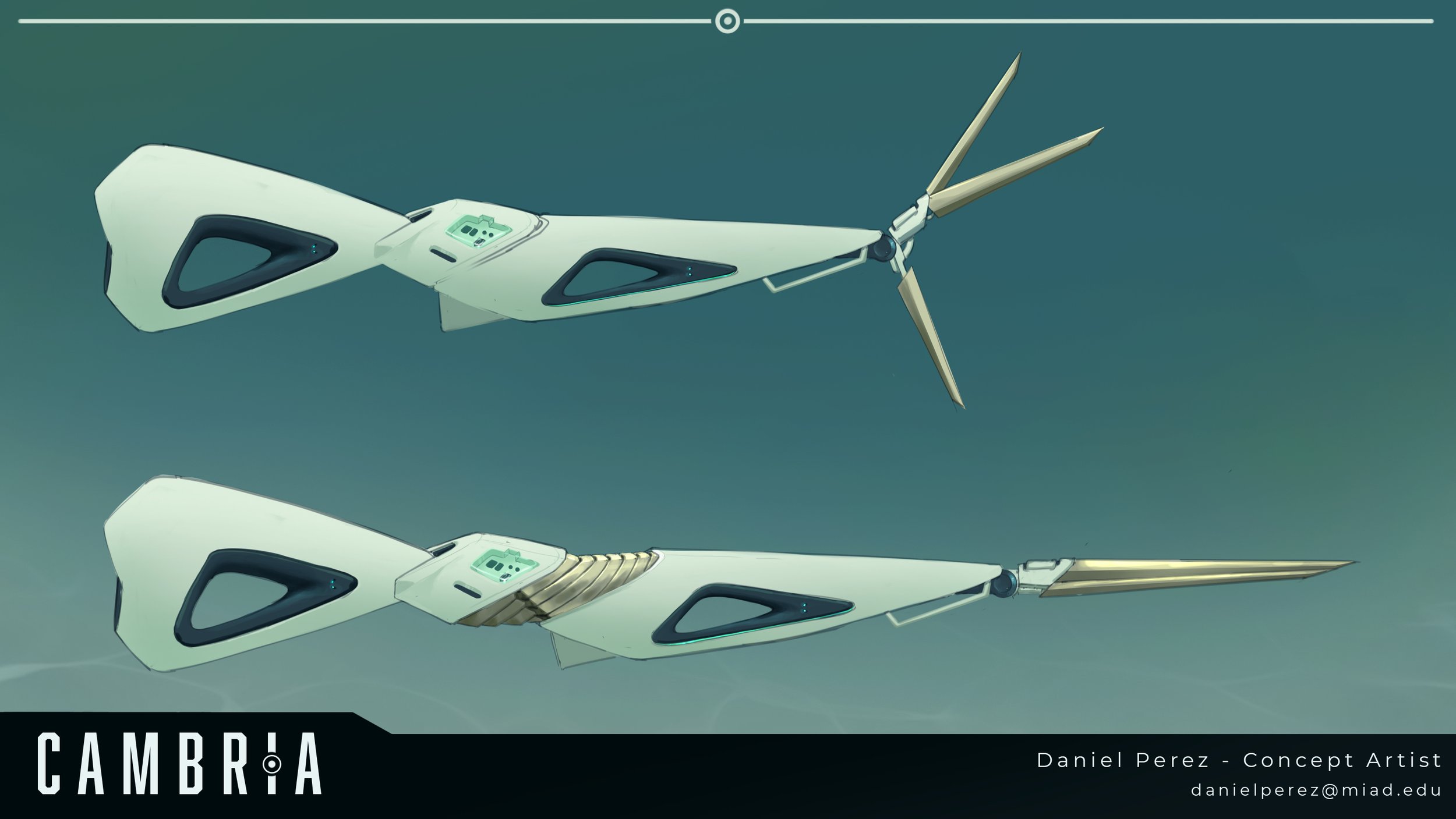 Presentation sword.jpg