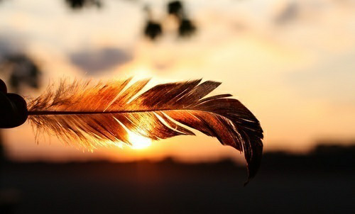 hand holding feather up to a sunset