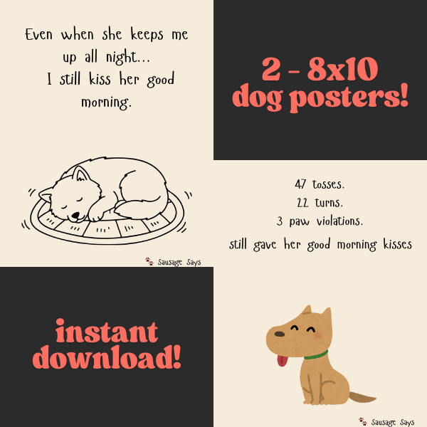 Sausage's Night Poster Set