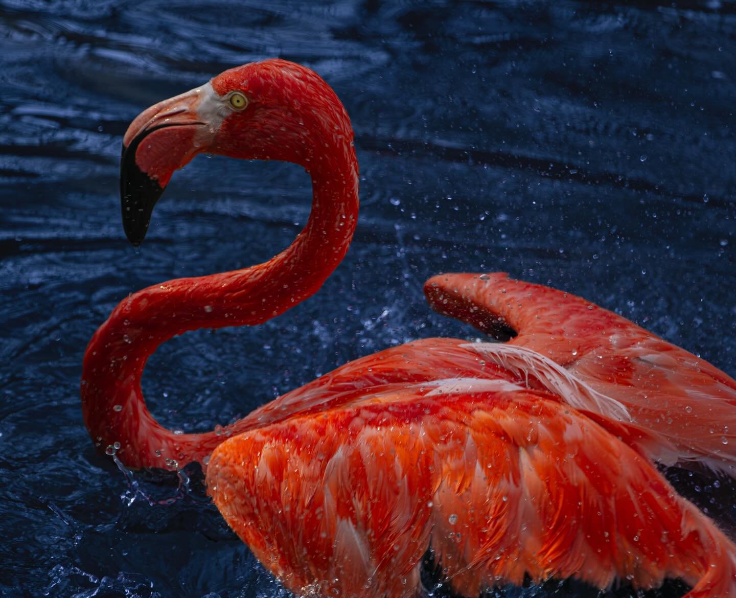 3/1 ˖ ࣪⭑ Happy March!