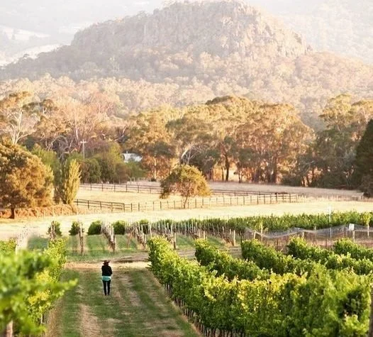 Hanging-Rock-Winery-526x475.jpg