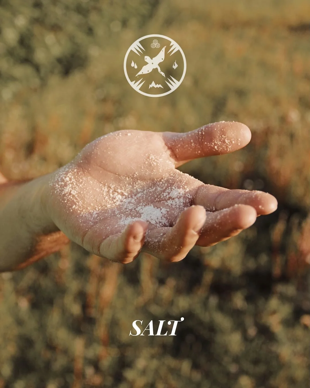 Salt&hellip; Grandmother rock. Sacred to the Northern European ancestors. Across rivers and valleys, she is ceremonial, utilitarian and essential. An offering. Salt and now tobacco is the sacred exchange across many a border and many languages.
She t