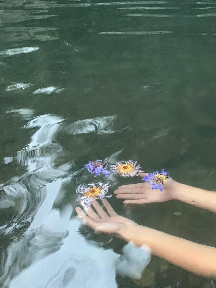 Guest Presentation - the Call of the Lotus 