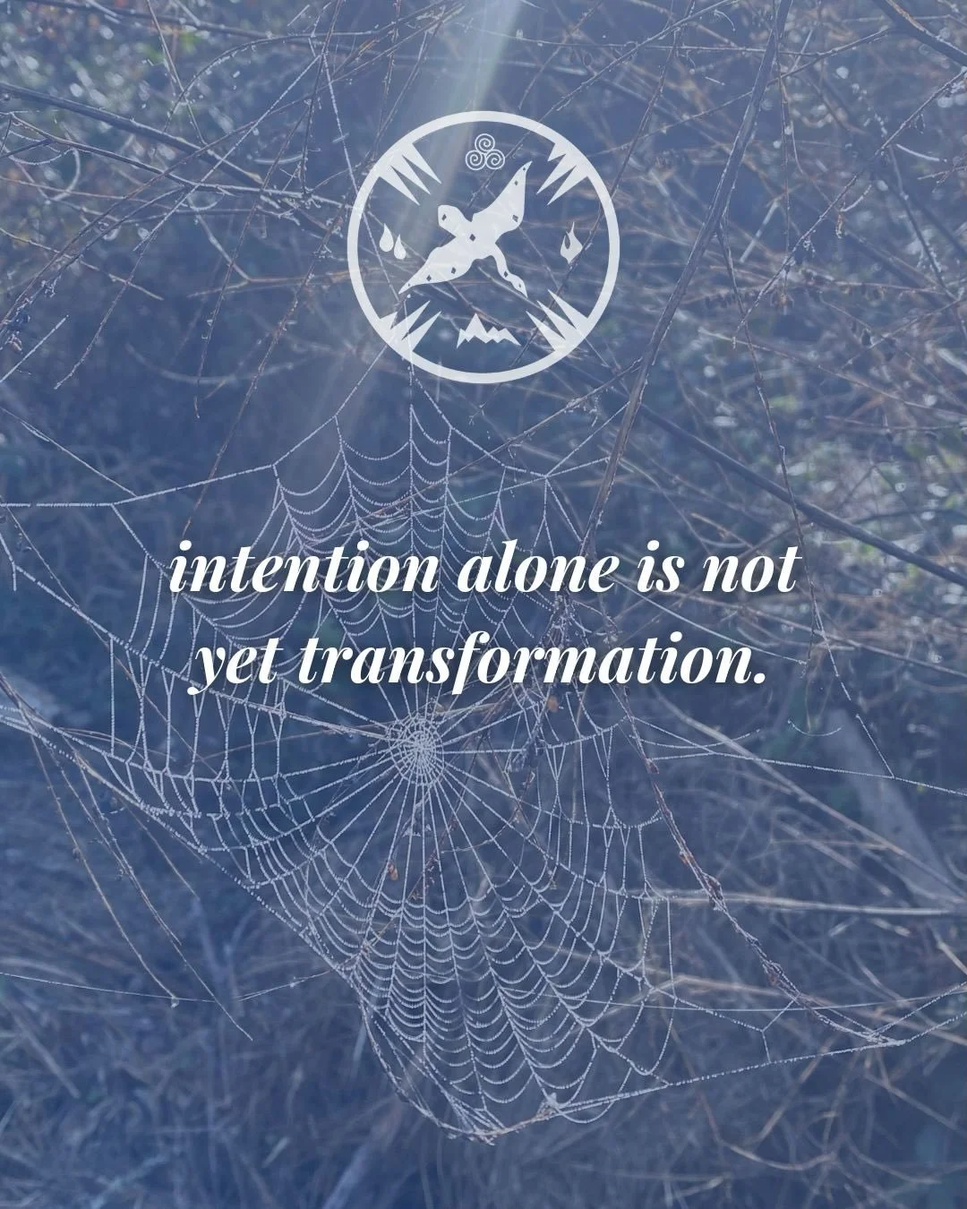 Teachings from the North 🌬️🍃 as we move towards the spring and the wheel of the year continues to turn. 

This is an excerpt from the letter that went out to our participants in the Walking the Sacred Wheel course - a deep dive into the teachings o