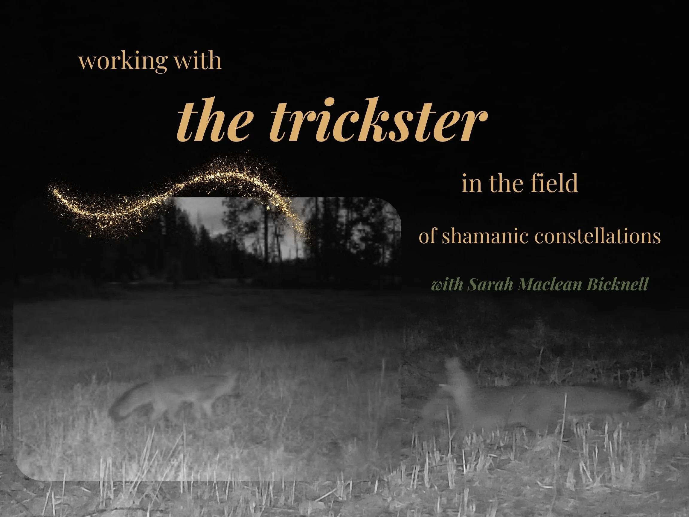 Working with the Trickster in the Field (online)