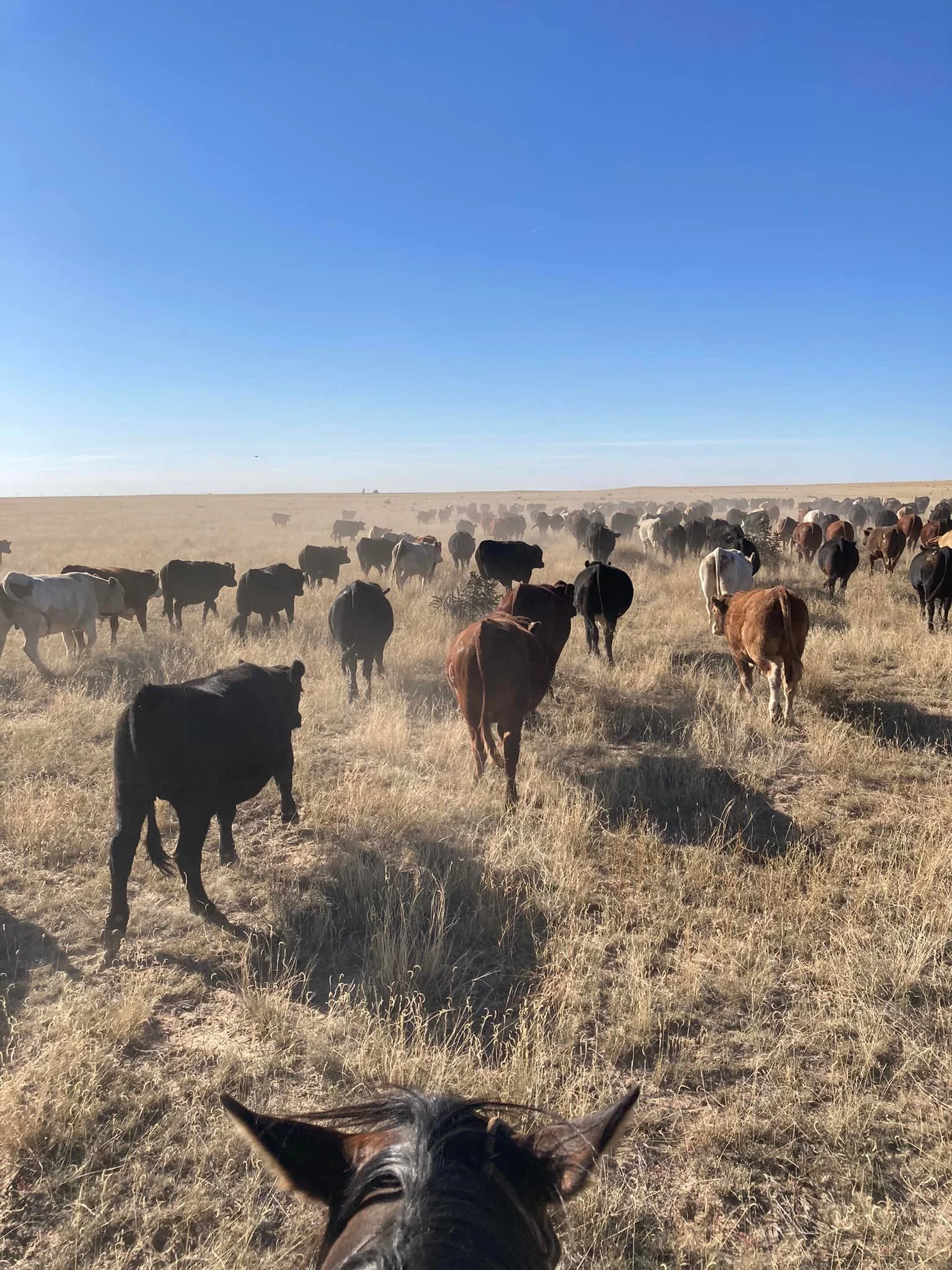 IT’S JUST PROTOCOL