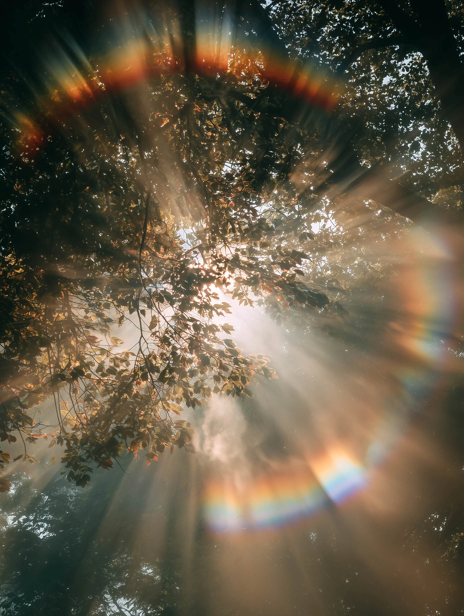 Spiritually Speaking: Back to Basics