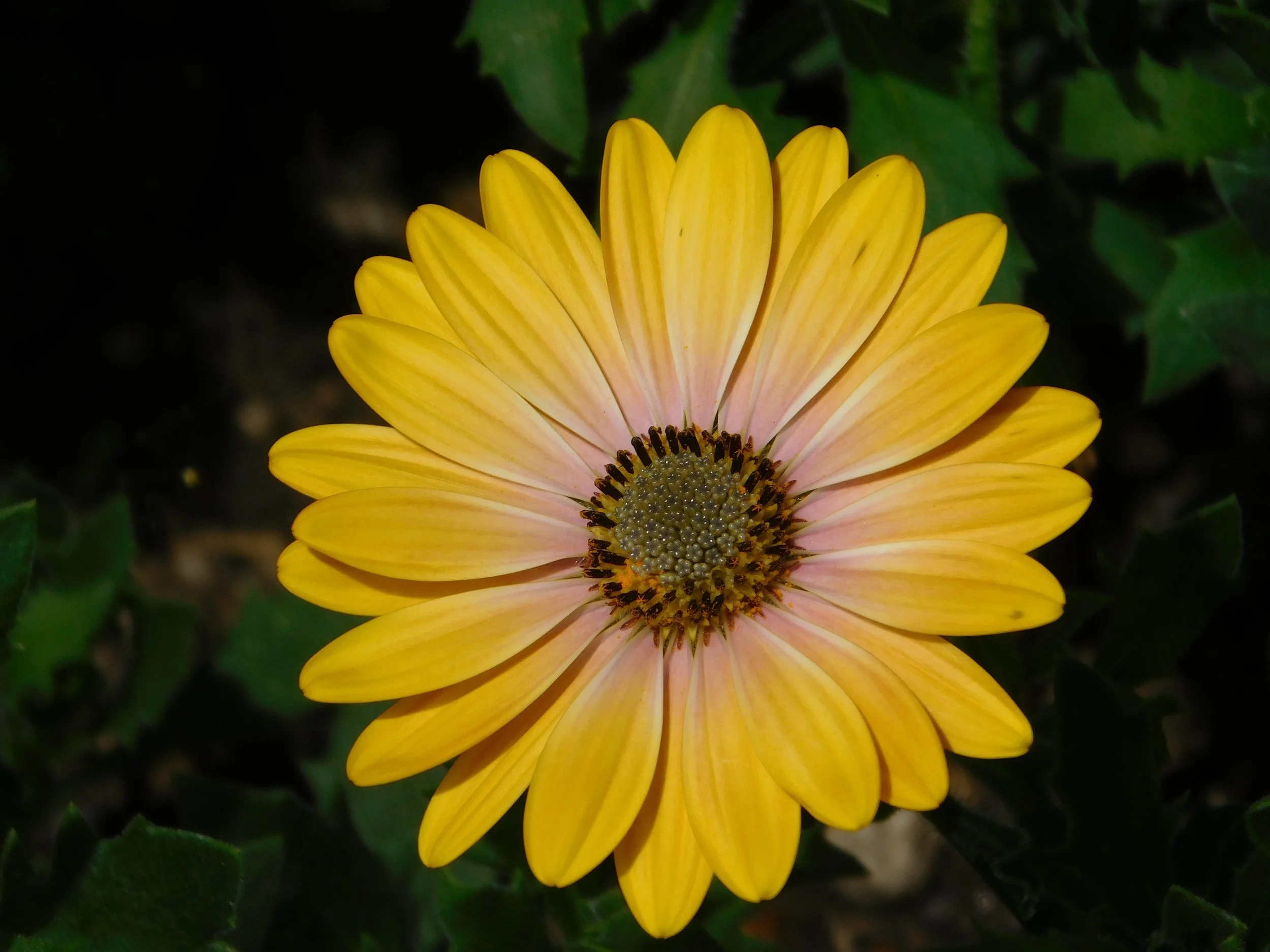 Spiritually Speaking: Back to Basics