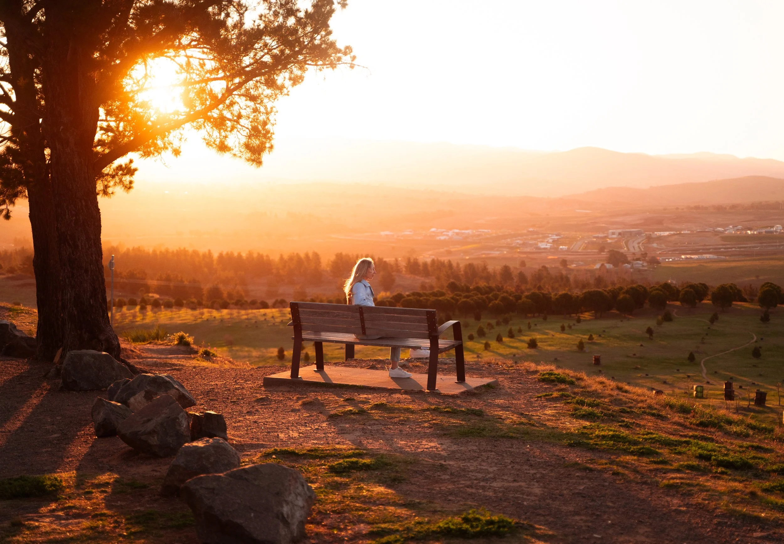 A woman sitting alone on a wooden bench under a large tree at sunset, overlooking a vast landscape of rolling hills and valleys.