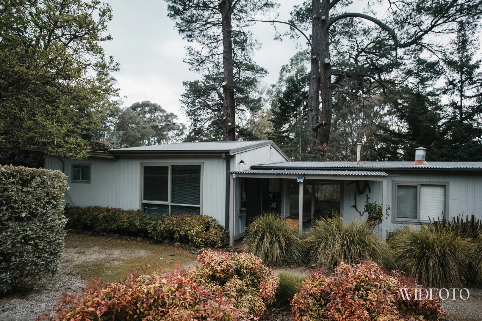 Sheridan Adrian-LR-WM-101.jpg