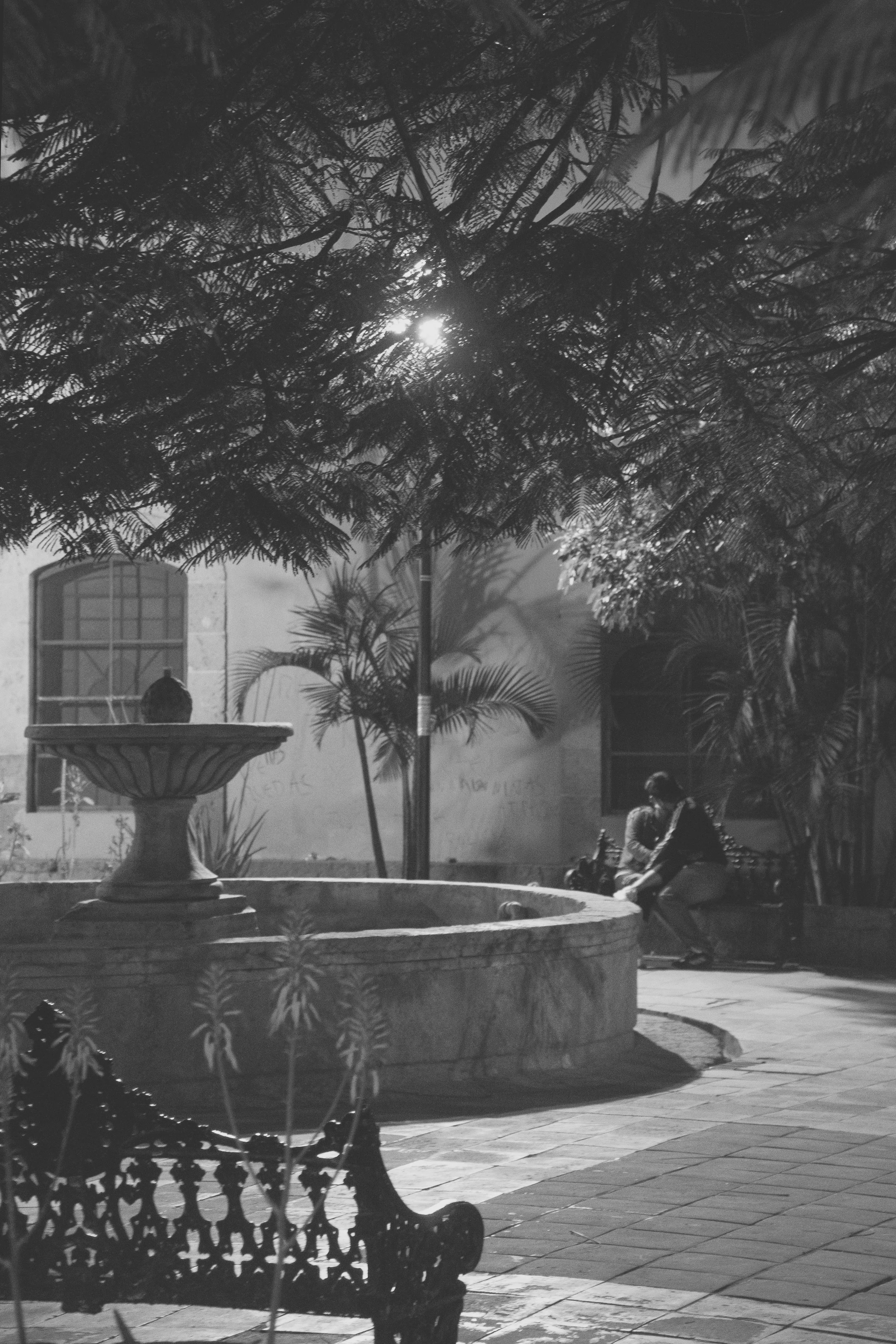2026-Mexico City-B&W-27.jpg