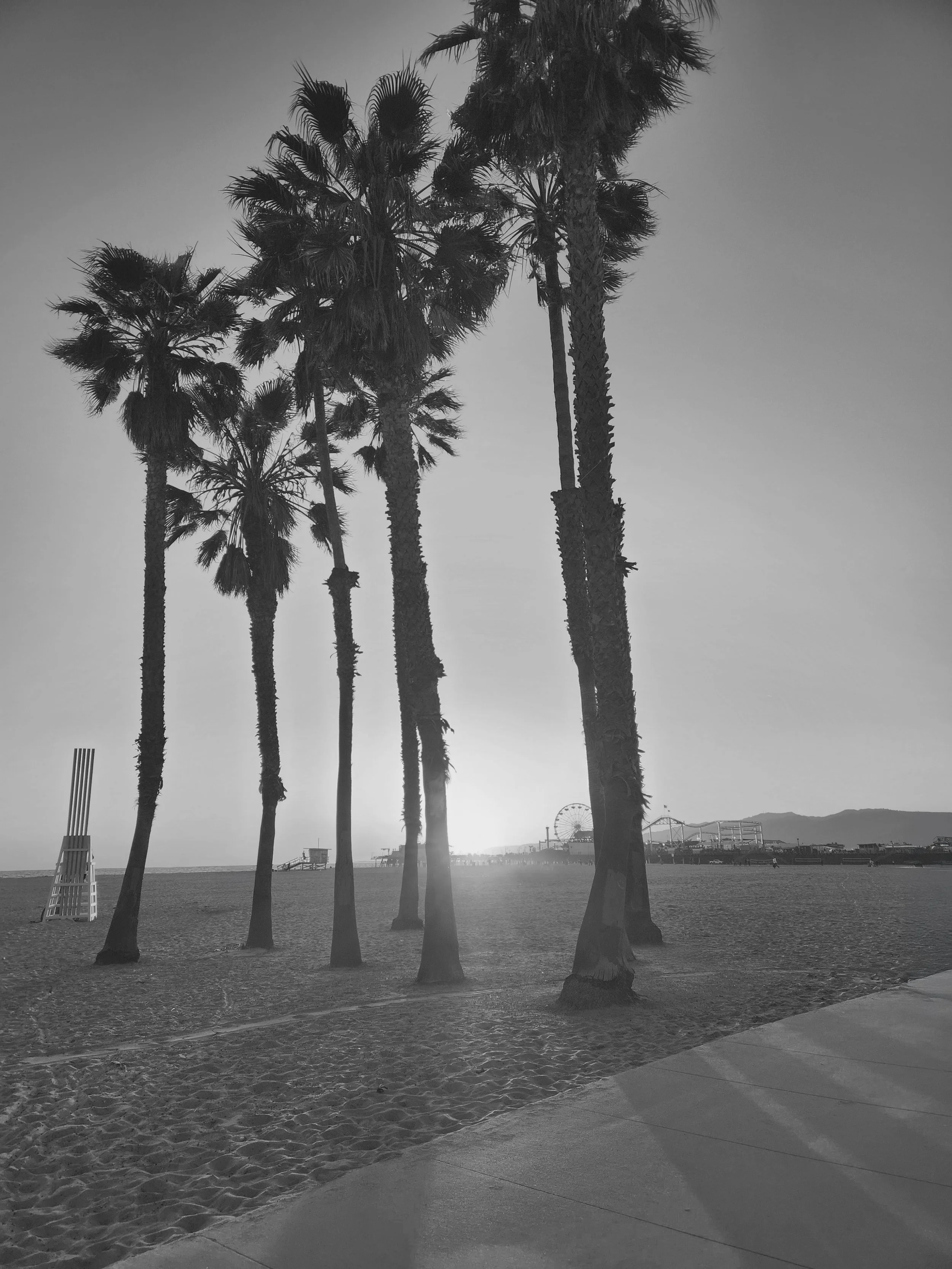 Venice Beach - 2024