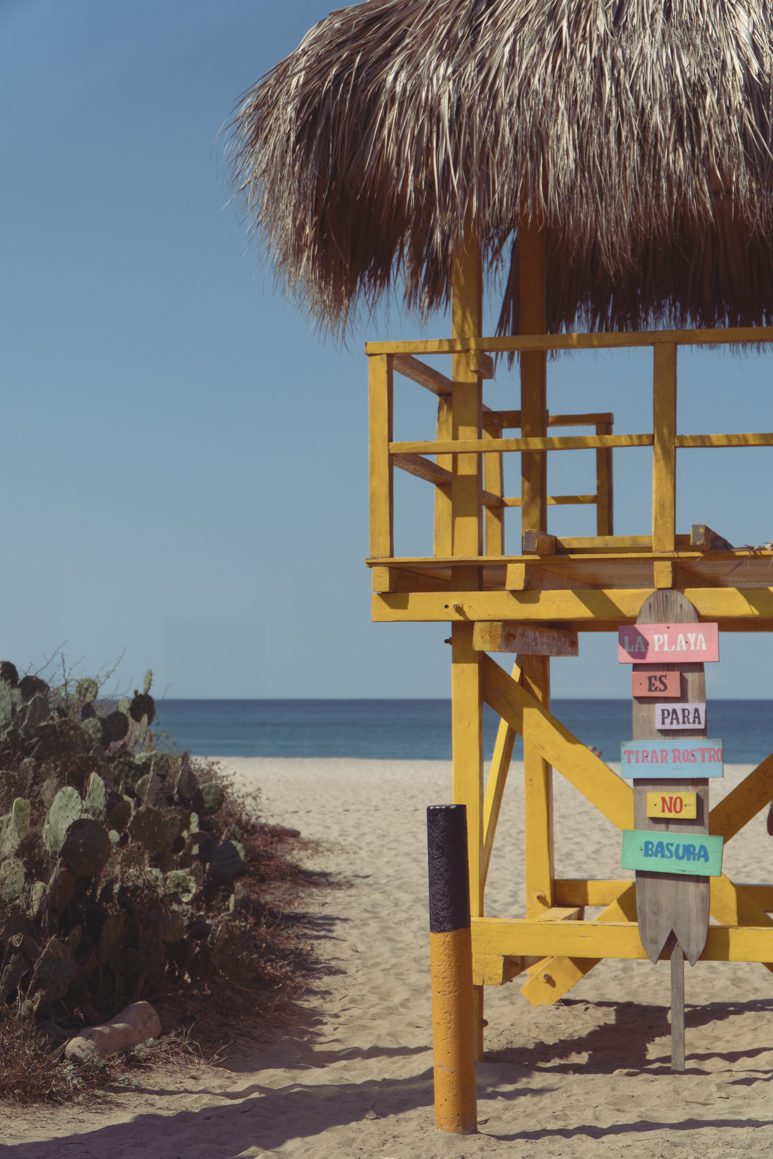 2026-Puerto Escondido-1.jpg