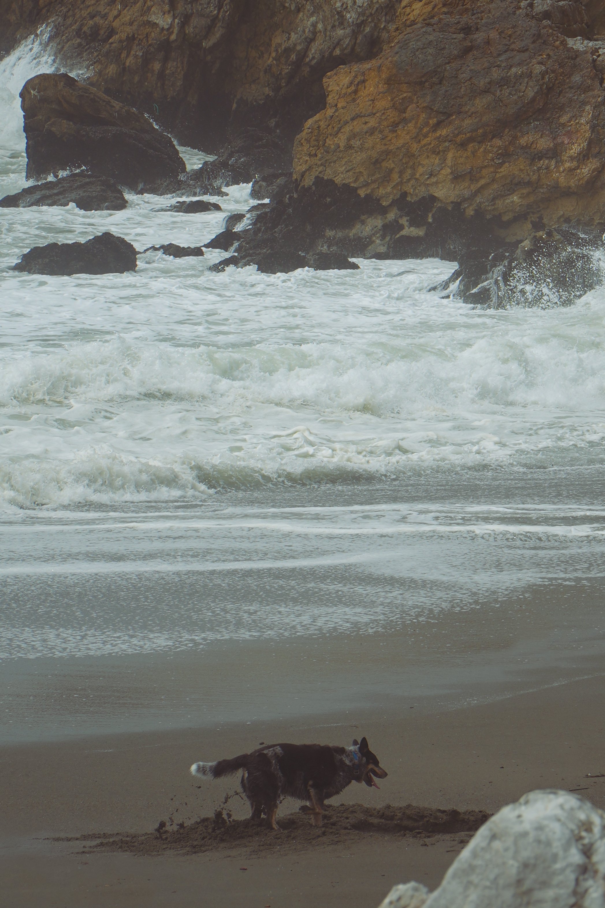 2026-Santa Cruz-Edit-5.jpg