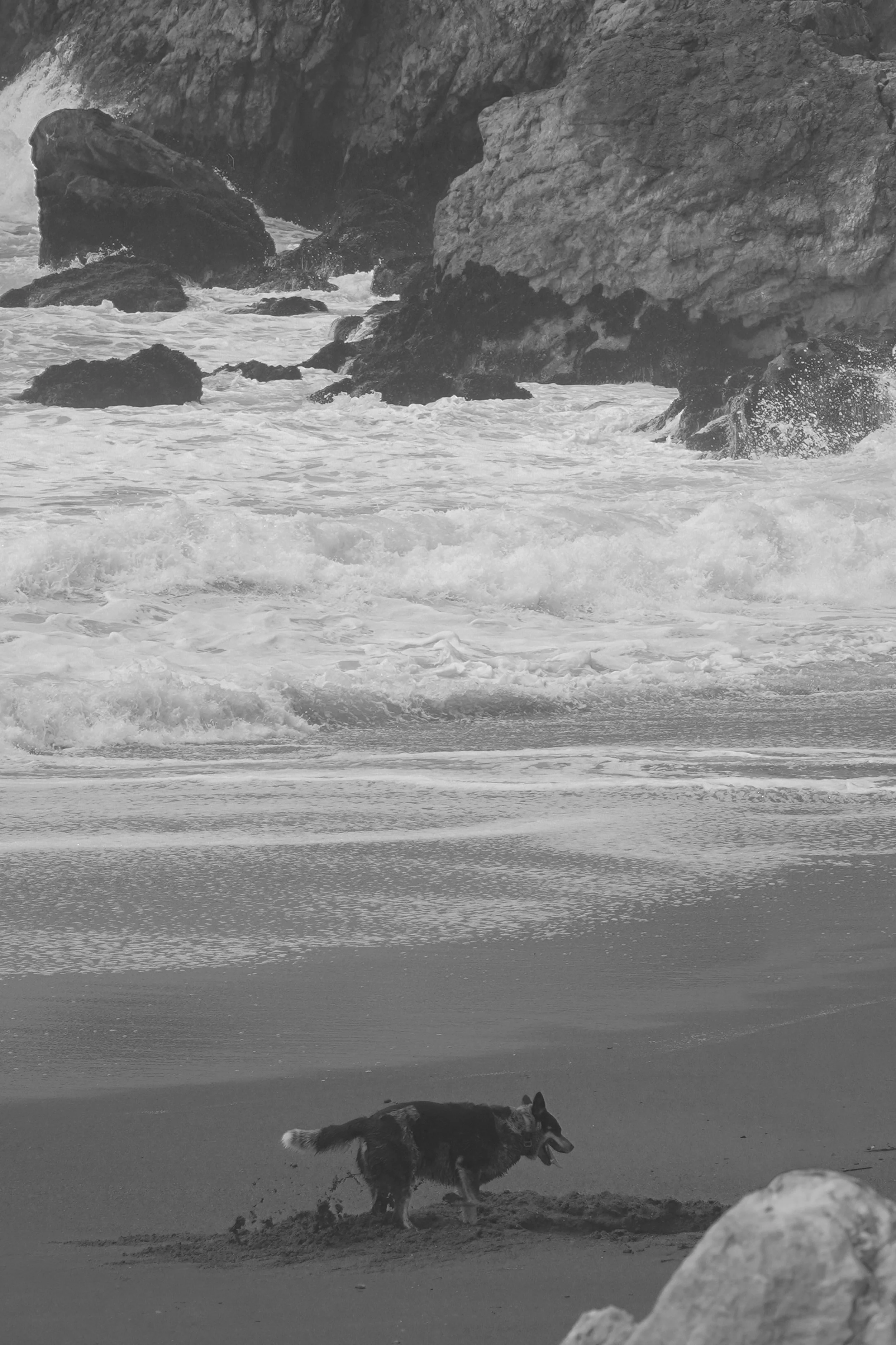 2026-Santa Cruz-B&W-2.jpg