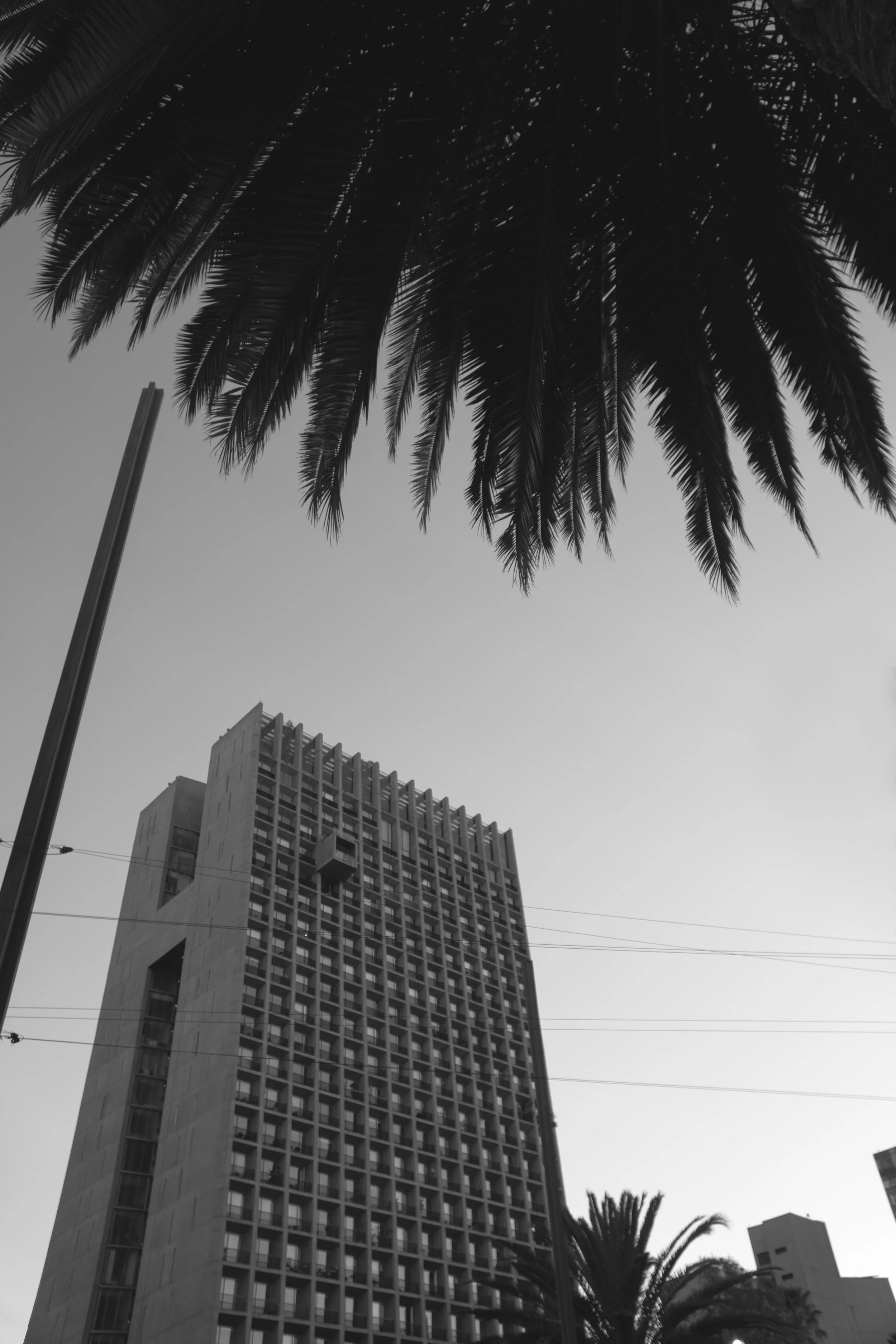 2026-Mexico City-B&W-13.jpg