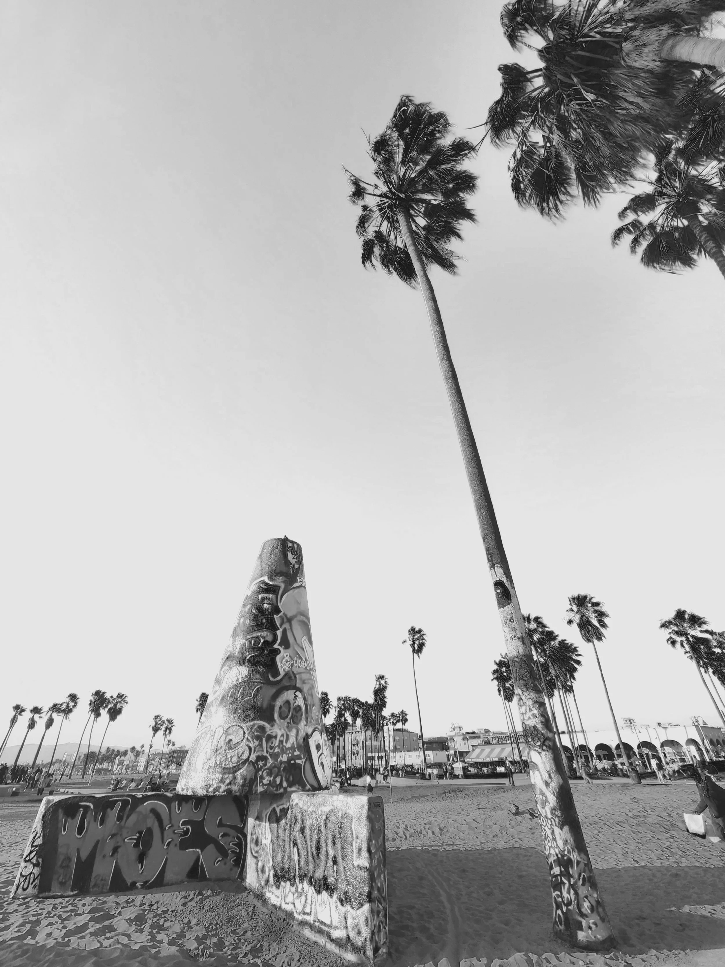 Venice Beach - 2024