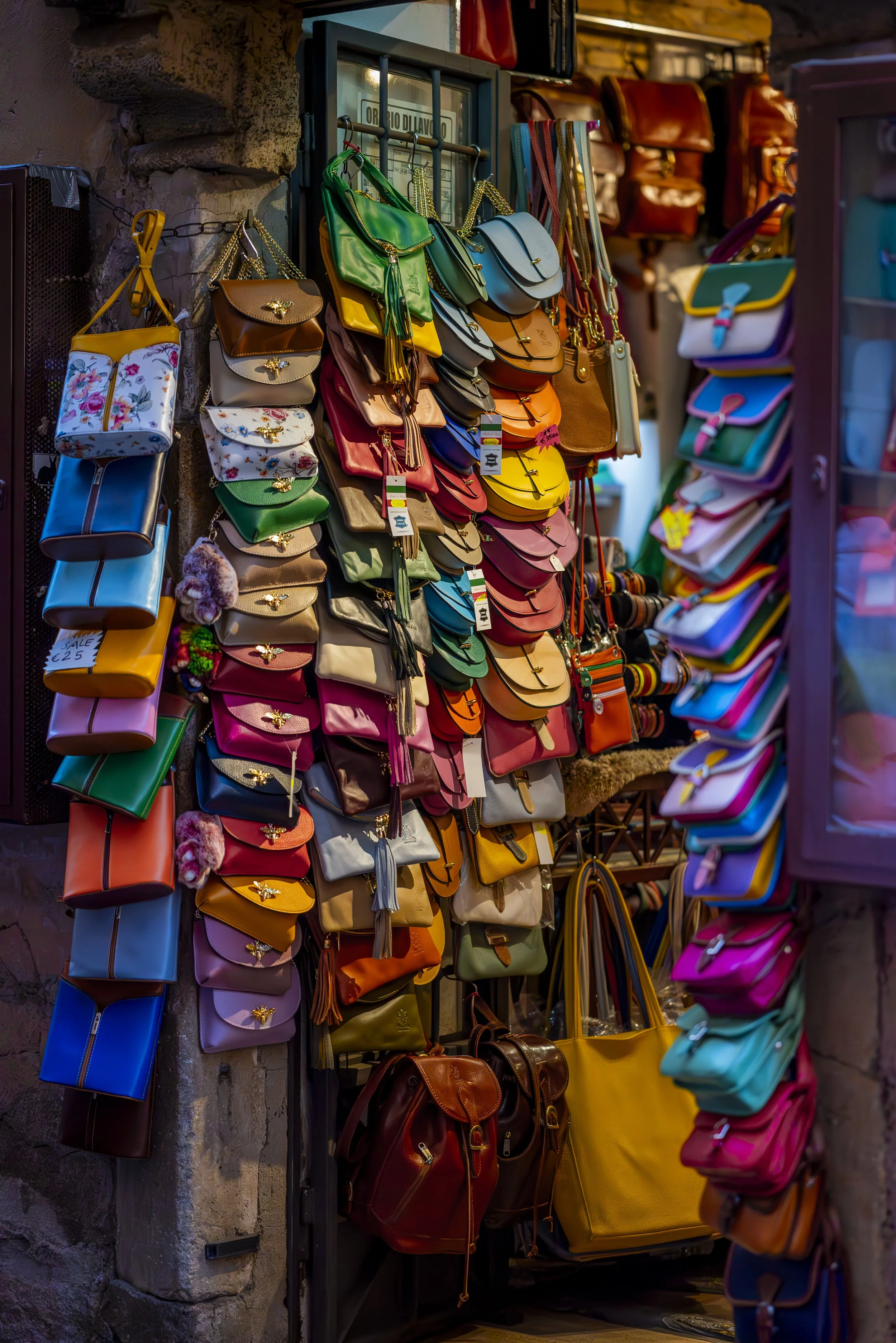 DSC_5908-Enhanced-NR.JPG