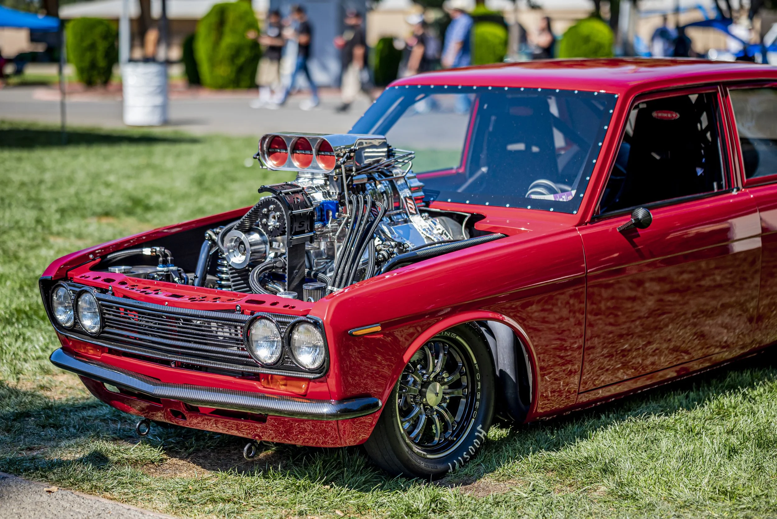 DSC_5894.JPG