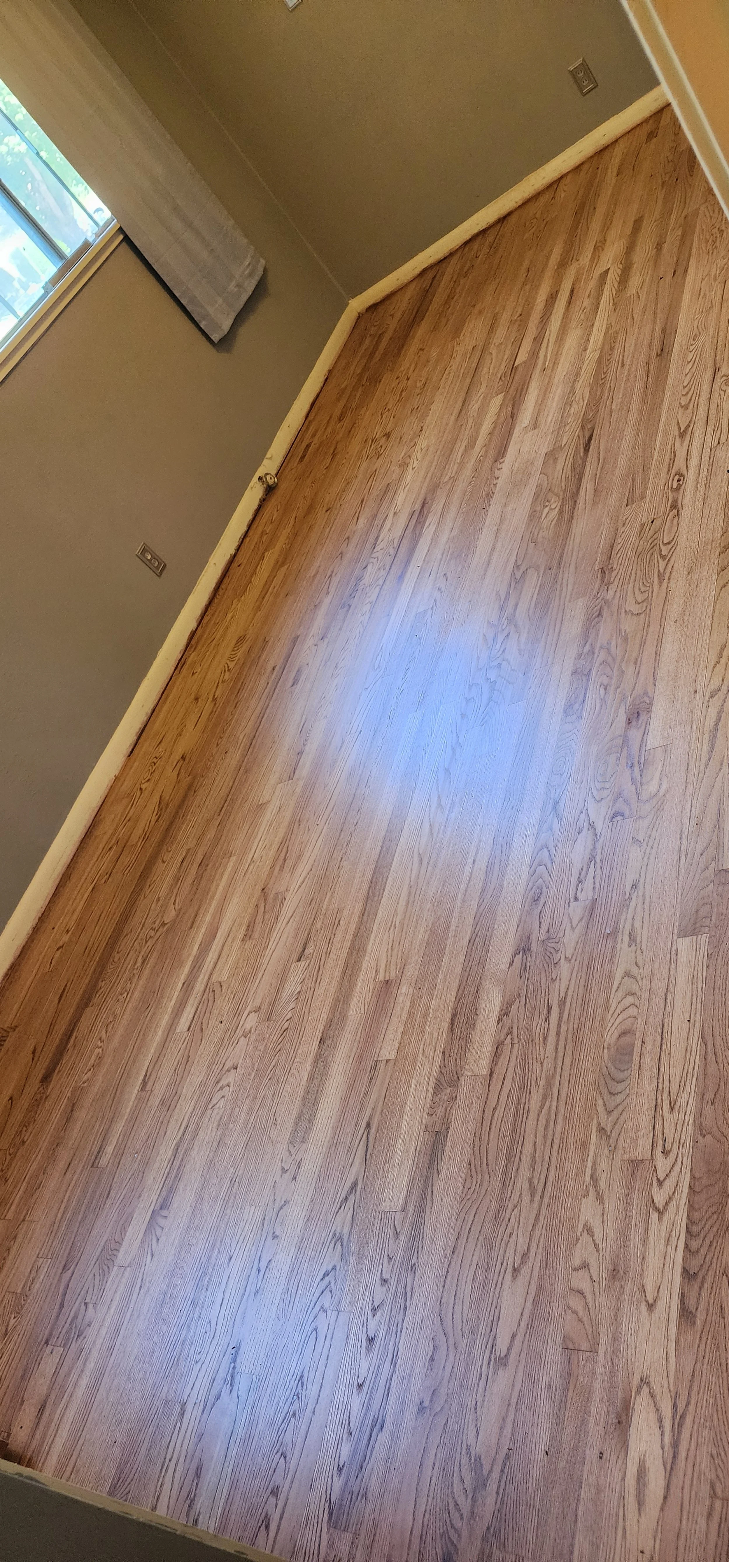 Empty room with wooden floor, gray walls, a window with a beige curtain, and an electrical outlet.