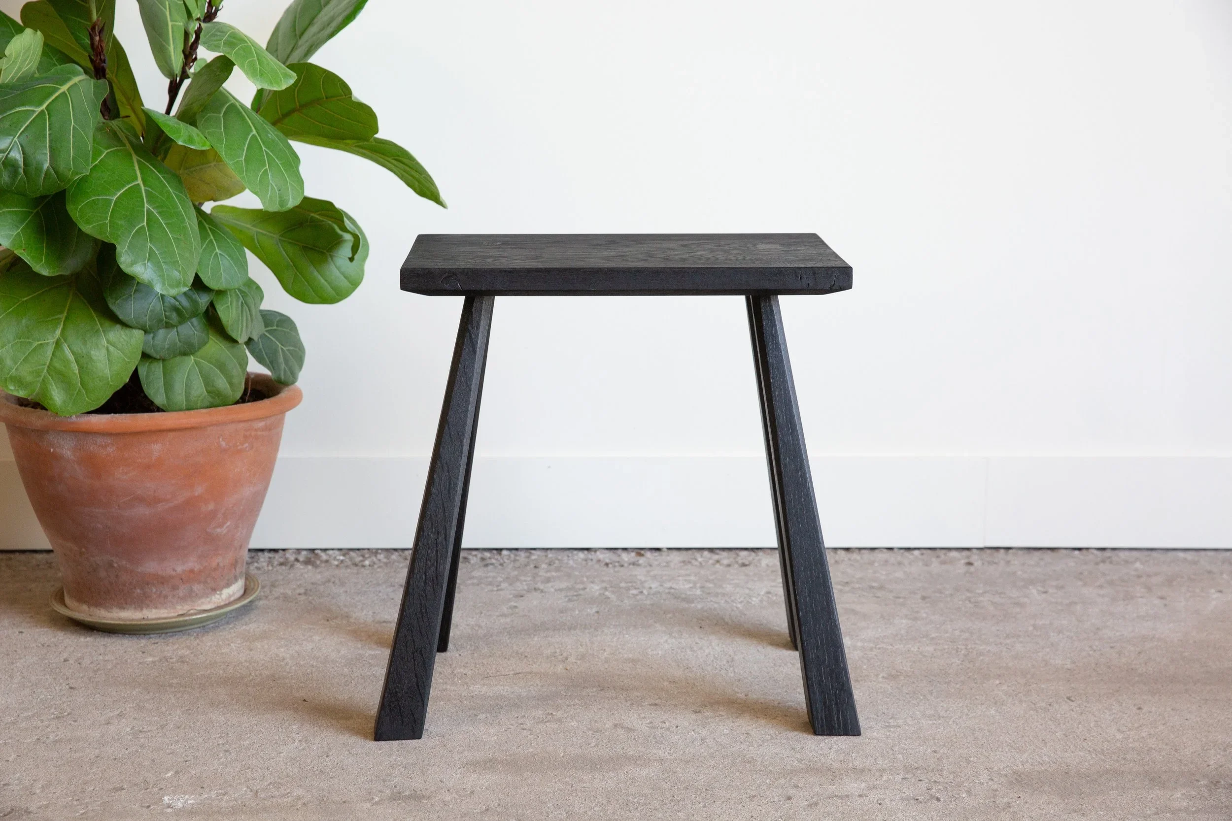 IMG_0870.WEBP (Copy)