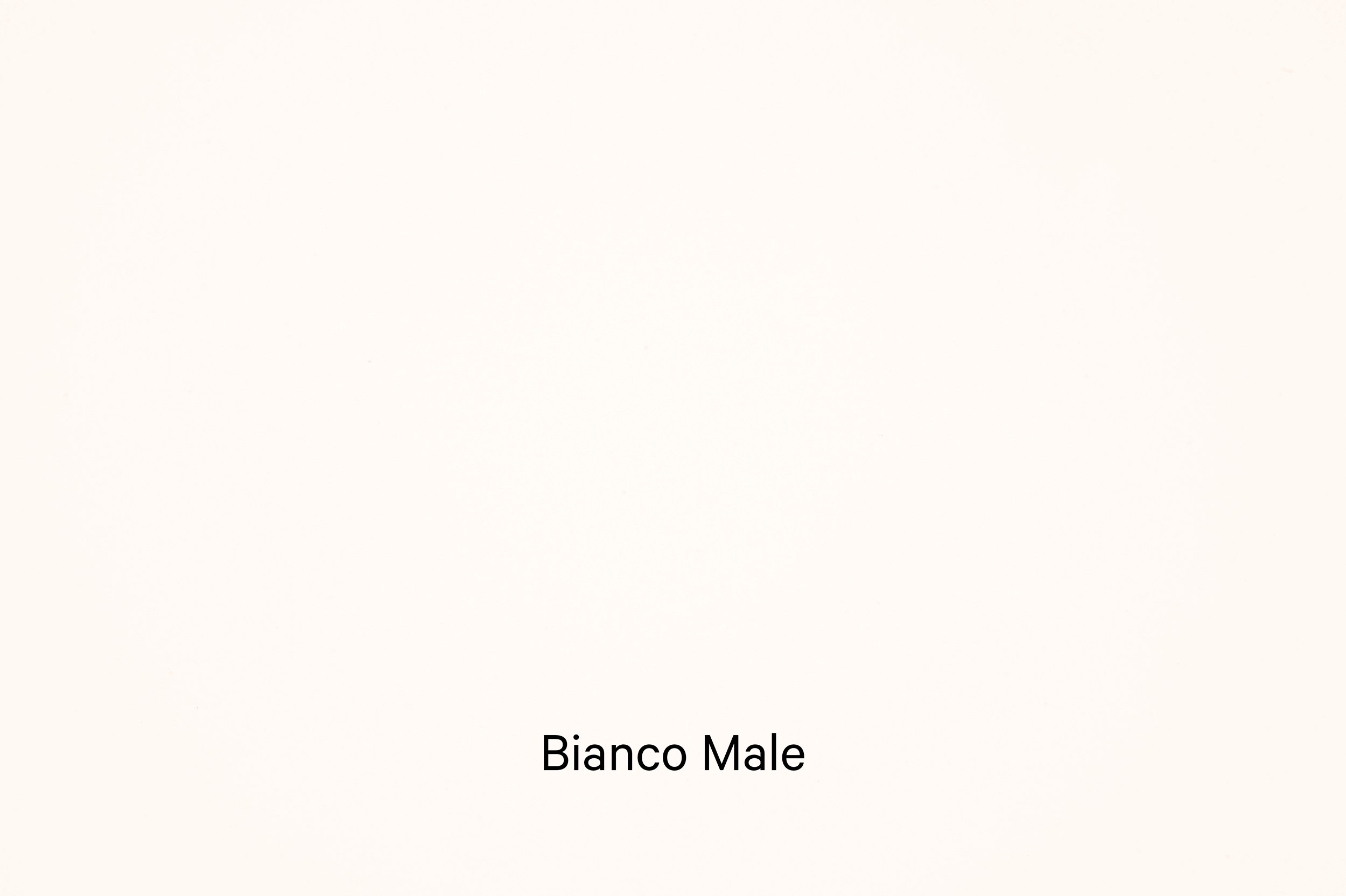 FENIX-BIANCO-MALE.jpg