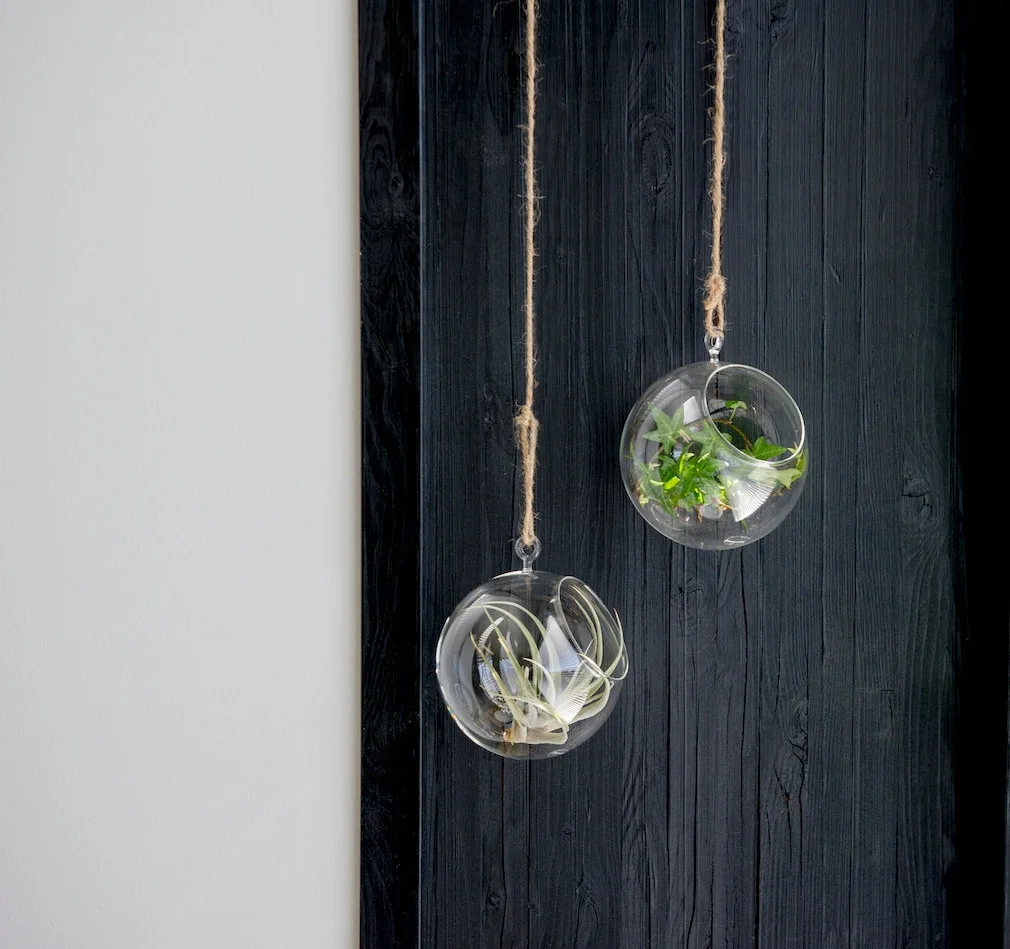 b2cf832f524d35471fd6702d1509d26564128e690d0aa7ecc209f8c861b45eb4.jpeg.webp (Copy)