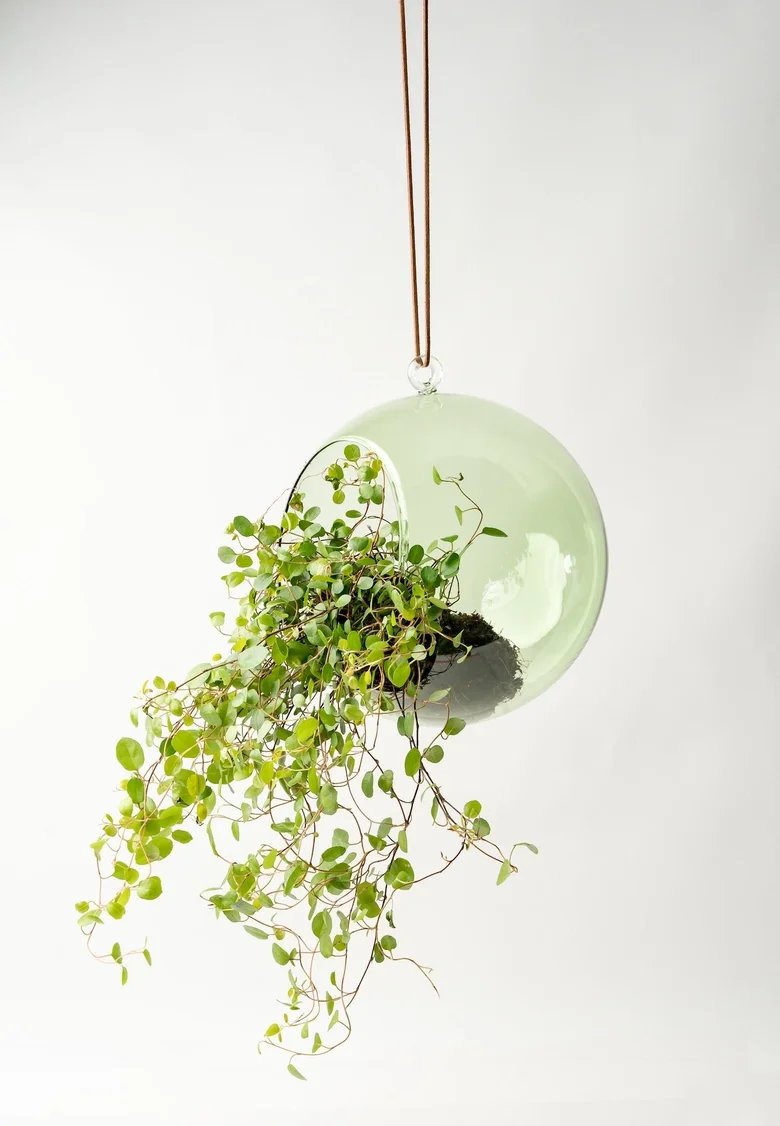 df043dadfab88458c4c013dcedc43b808f028722fd151407a702468fdcf23dab.jpeg.webp (Copy)