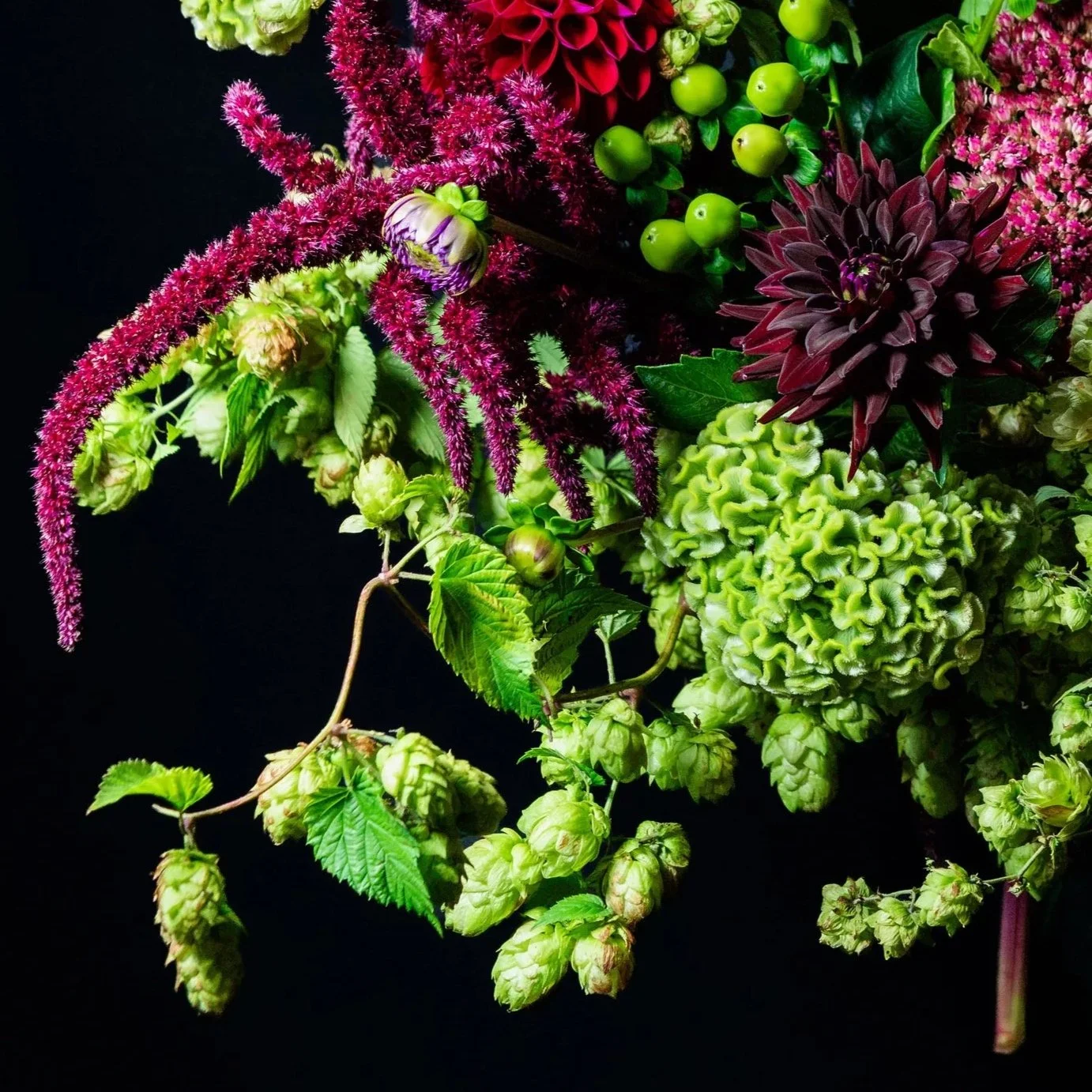 Fresh green flowers, foliage and seasonal textures contrasting with dark burgundy blooms
