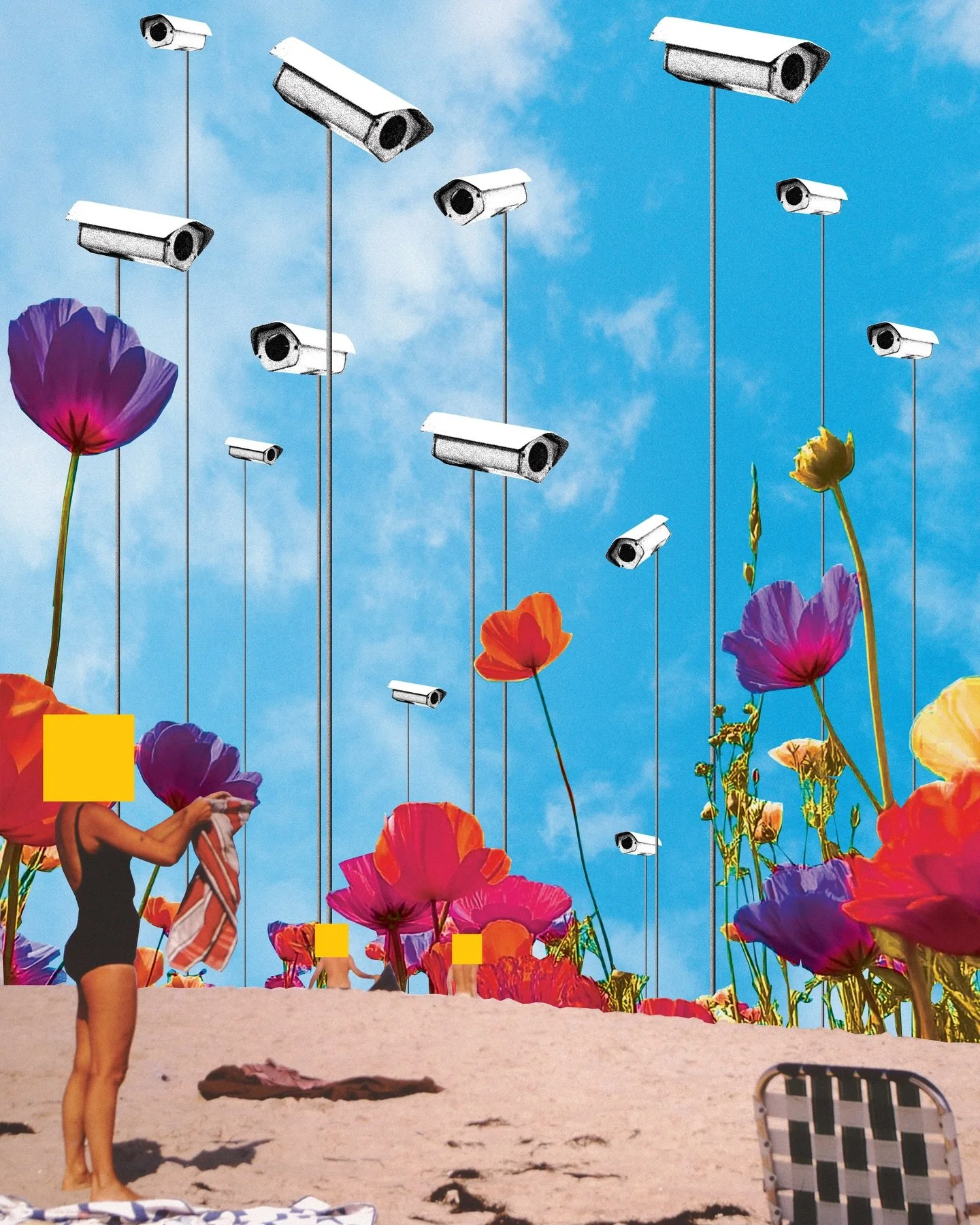 The skies seem emptier 

#collage #design #art #surrealism #surveillance #graphicdesign #abstractart #texture #grunge