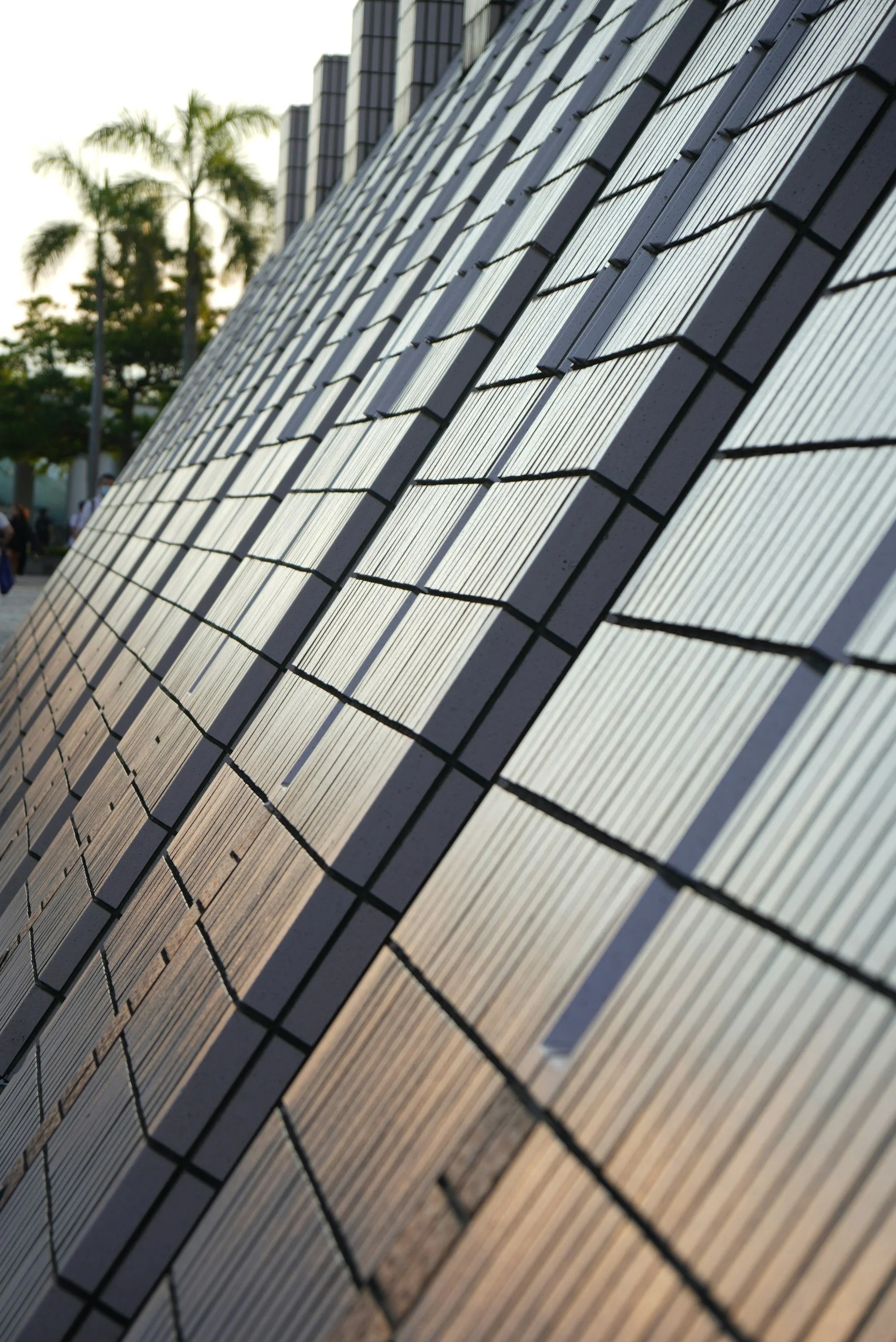 Close-up view of solar panels installed on a building roof with palm trees and a clear sky in the background.