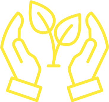 Outline drawing of two hands holding a small plant with three leaves.