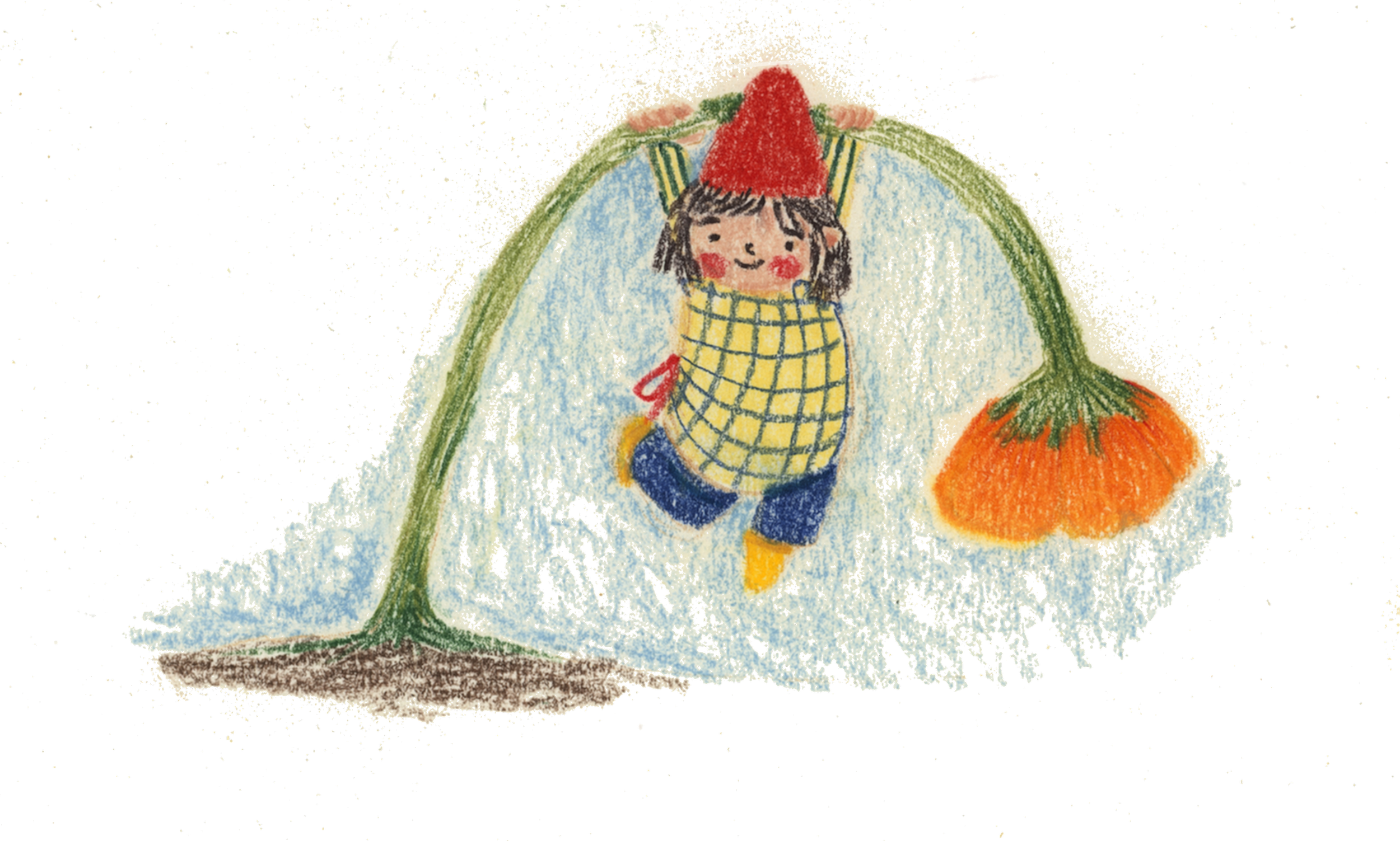 The picture shows Pola hanging on an orange flower. Pastel Pencil. 