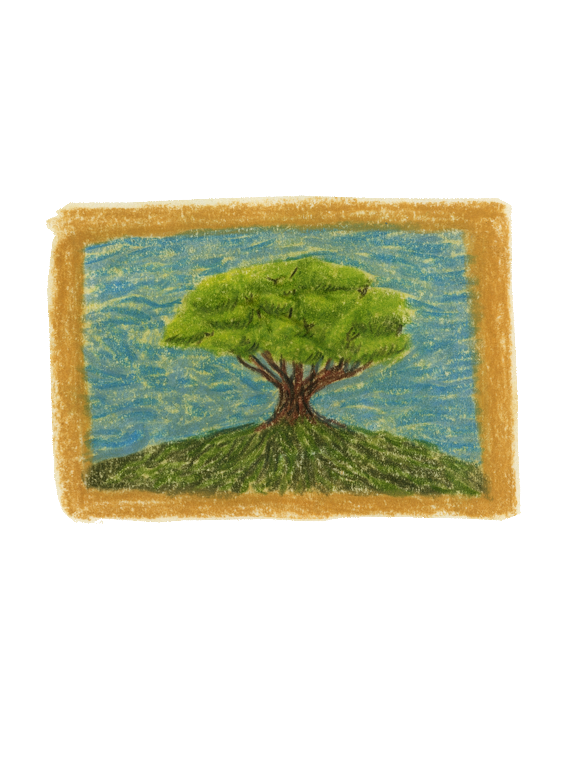 Picture of the oldest tree in the garden 