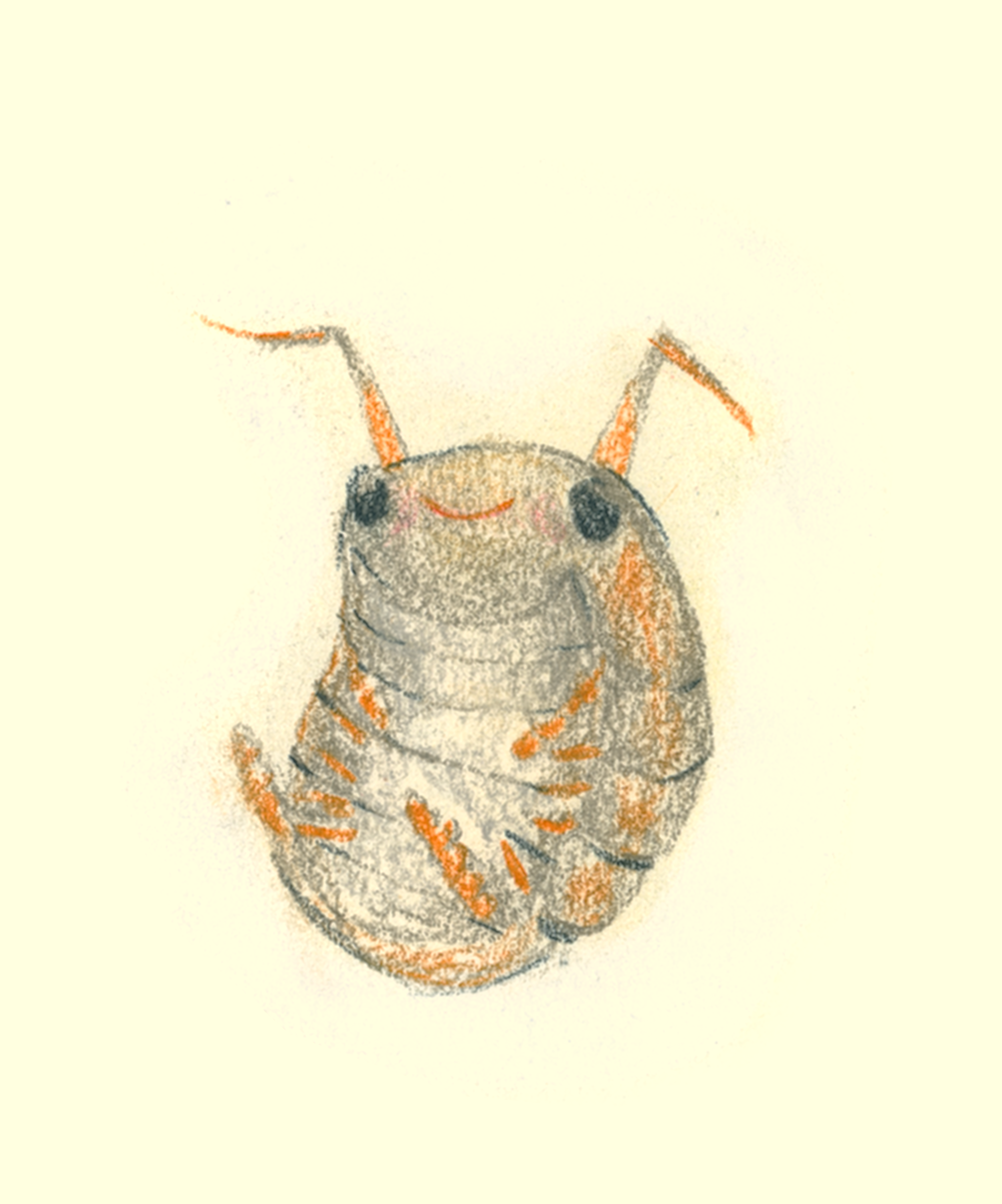 Sketch of a bug