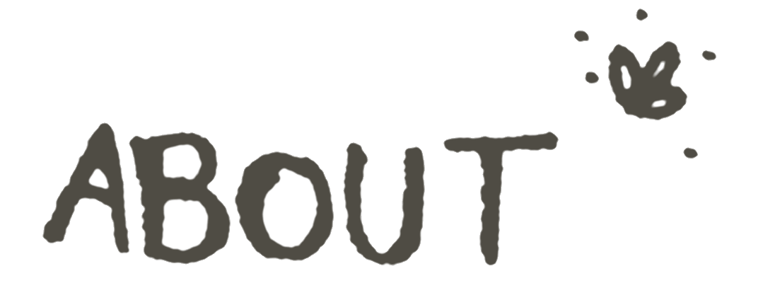 The word 'ABOUT' written in large, gray, handwritten-style font with a butterfly and some dots around it.
