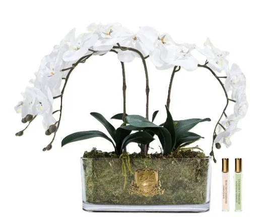 Cote Noire Oval Orchid Bouquet - White