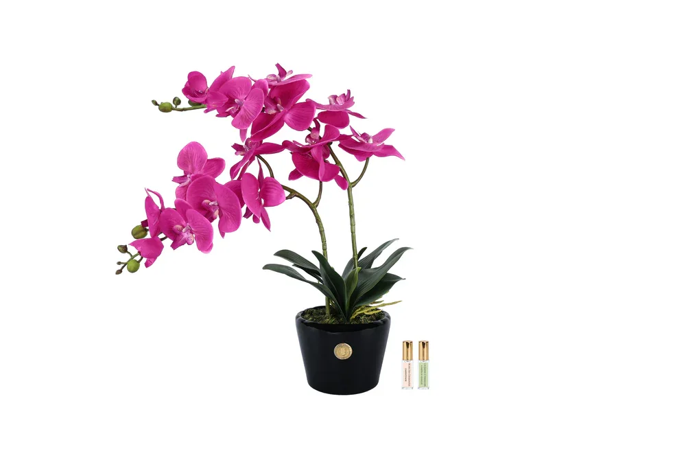 Orchid Piano Black Fuchsia.webp