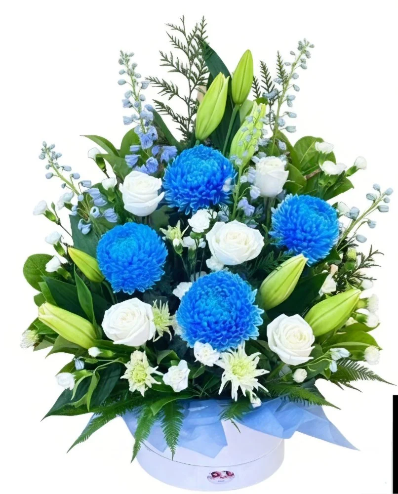 Sapphire Serenity.jpg