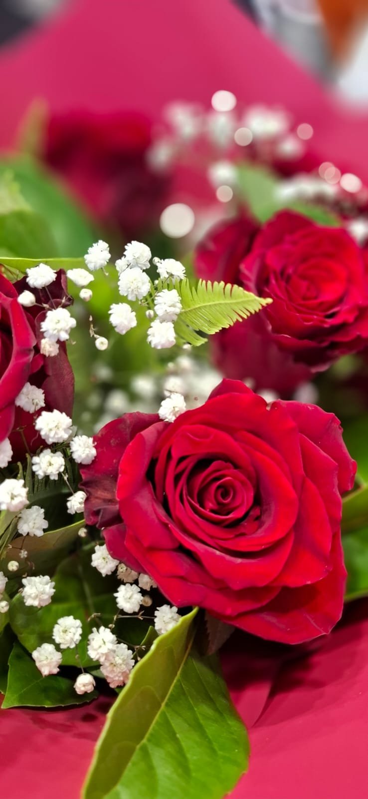 Close-up of red roses, white baby’s breath, and green foliage in a floral arrangement with a blurred pink background.