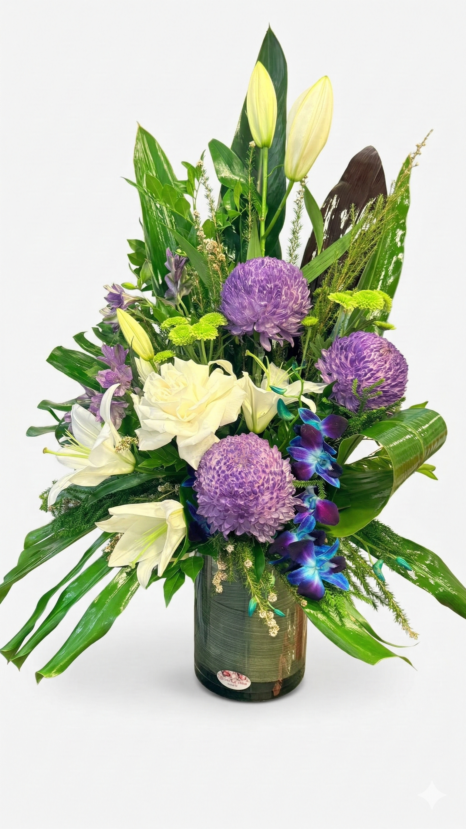 Executive Collection.png