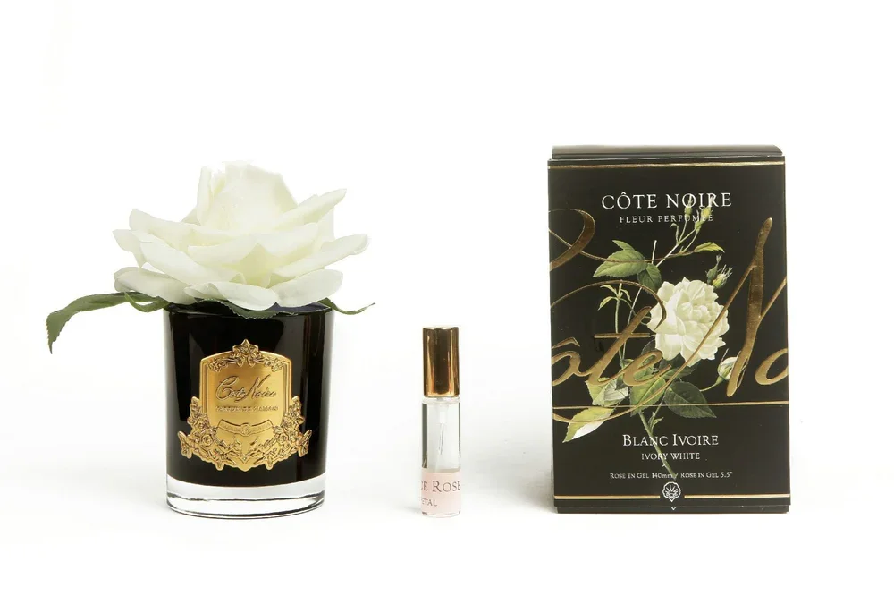 single_rose_ivory_white.webp