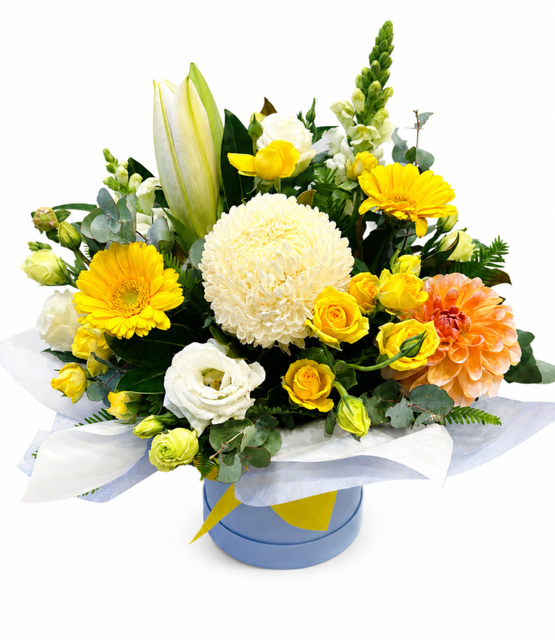 sunshine box.png