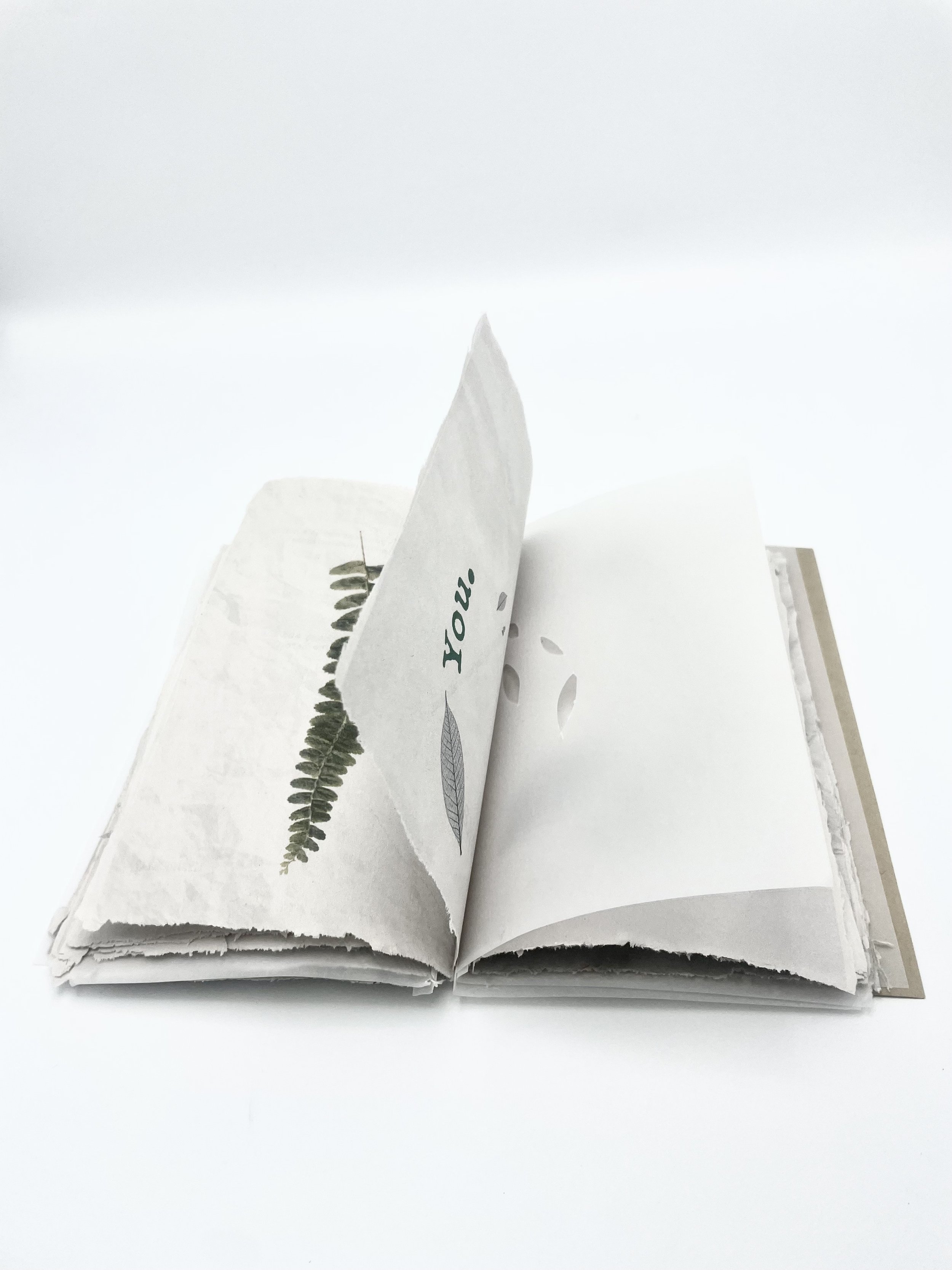 A Thousand Words Film Book