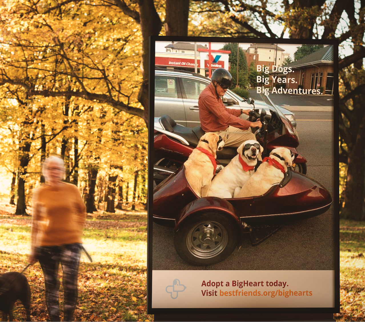 Screenshot 2026-03-31 at 2.53.44 PM.png